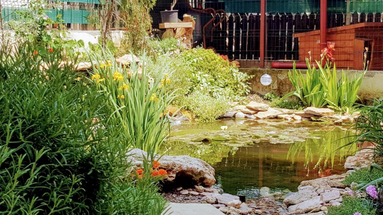 Villa Sanitas Techirghiol Eksteriør billede