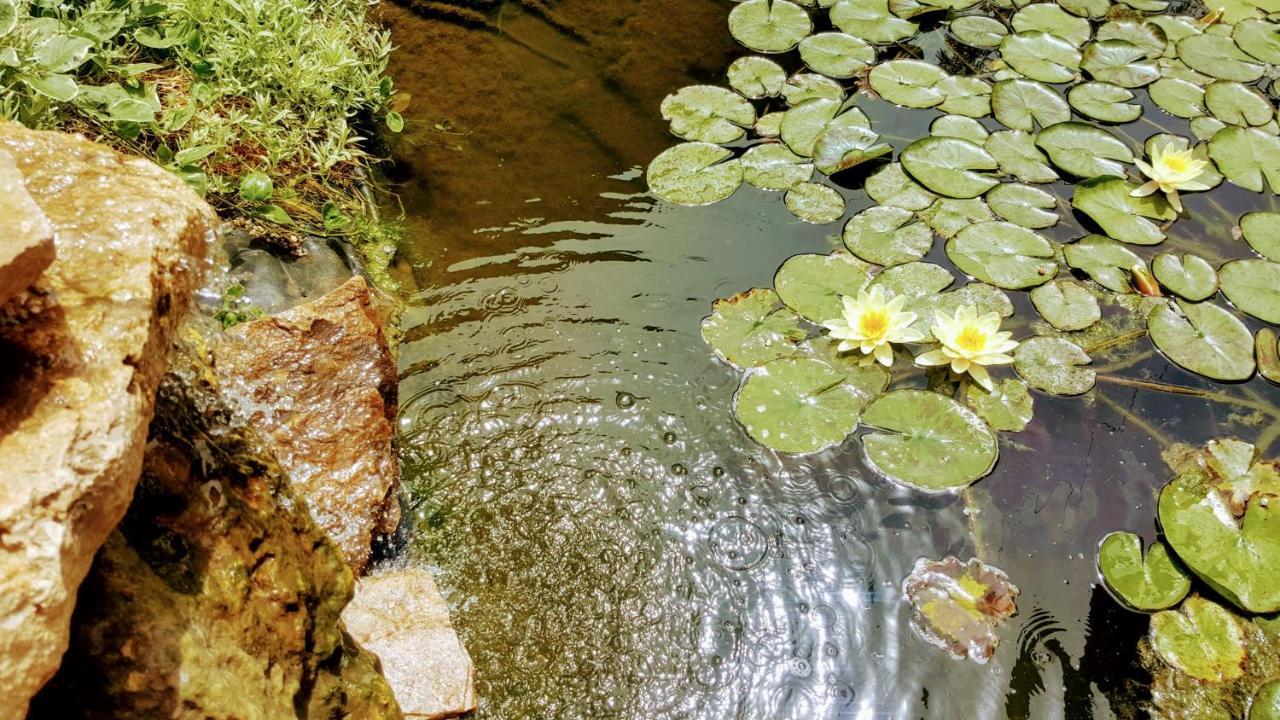Villa Sanitas Techirghiol Eksteriør billede